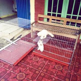 ✧wua✰ DIY Kandang pagar/Kandang Besi Lipat -Kucing Anjing Kelinci Kura-Kura  Hamster Pagar Rak Penyim | Shopee Indonesia