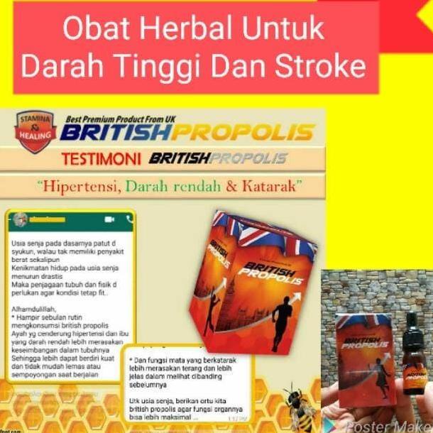 Jual TERMURAH TERLARIS!!! BRITISH PROPOLIS UNTUK ASAM URAT / KOLESTEROL /  PARU-PARU Sistem Kekebalan Indonesia|Shopee Indonesia