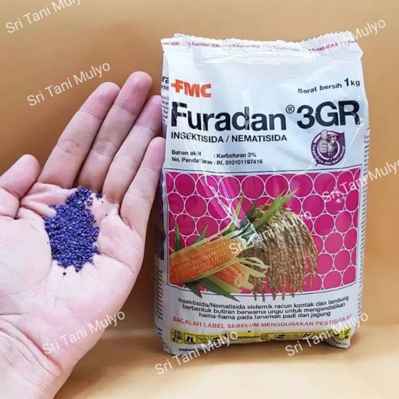 Jual 40.000Mg- Obat Hama Semut, Rayap, Engkuk, Jangkrik, Orong-Orong dll -  INSEKTISIDA FURADAN 3GR Indonesia|Shopee Indonesia