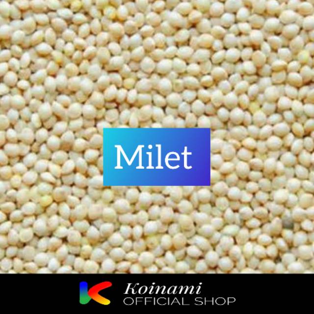 MILET MAKANAN BURUNG HAMSTER 500 gram | Shopee Indonesia