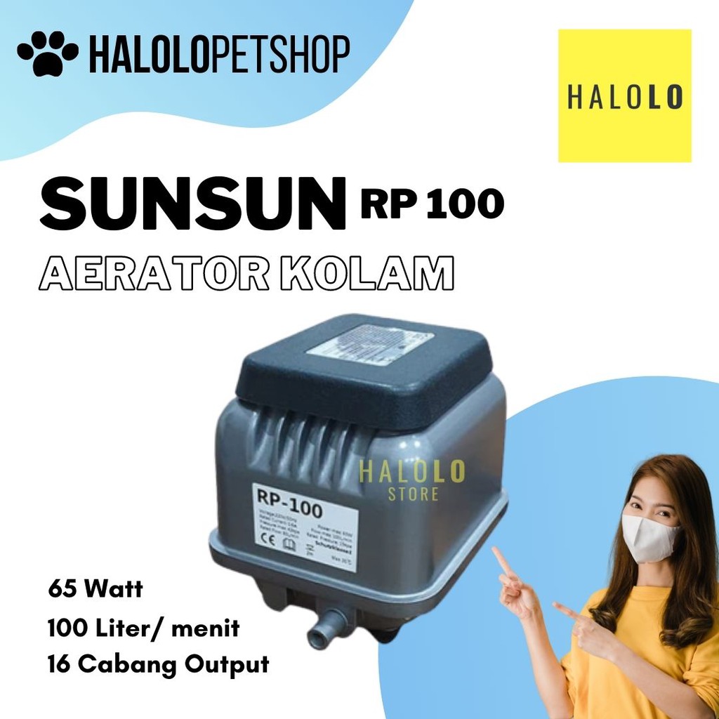 Jual Aerator Kolam SUNSUN RP 100 Pompa Udara Kapasitas Besar Air Pump Tidak  Berisik Indonesia|Shopee Indonesia
