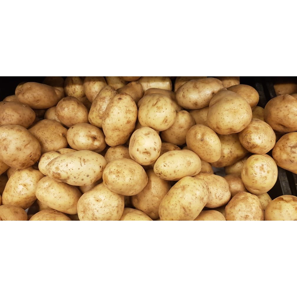 KENTANG SAYURAN PER 1/4 (250 GRAM) | Shopee Indonesia