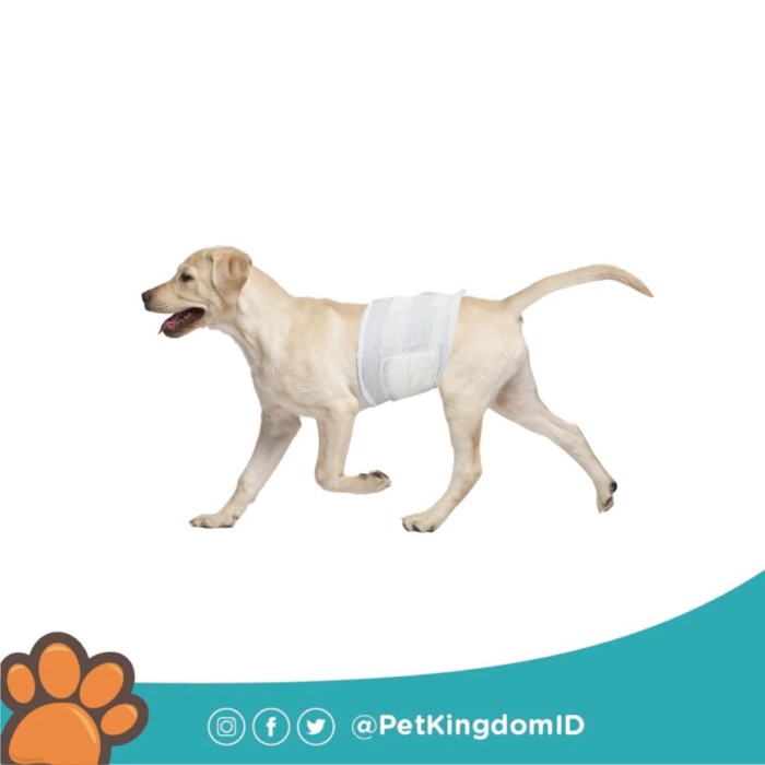 Produk Terlaris Pampers Hewan Jantan Size L Sekali Pakai 062 | Shopee  Indonesia