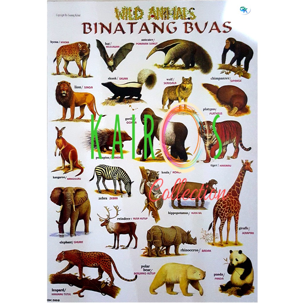 Poster Edukasi Anak Belajar Binatang Buas | Shopee Indonesia