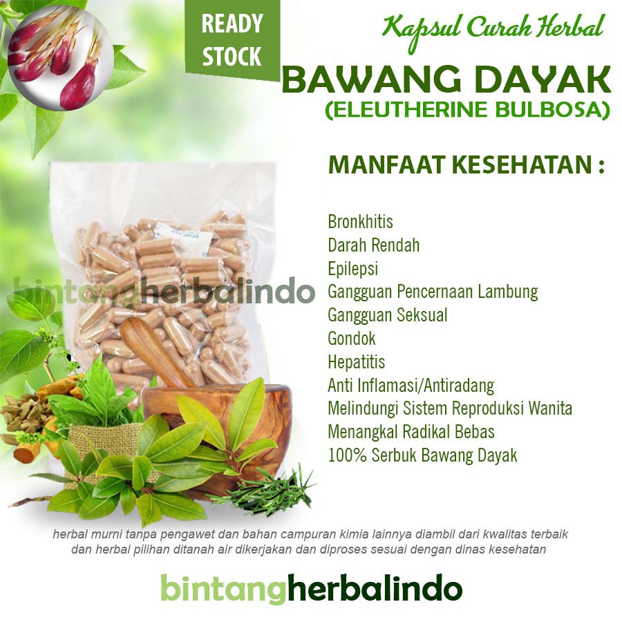 Jual BAWANG DAYAK 100 Kapsul Herbal Antiradang Amandel Myom Prostat Vertigo  Indonesia|Shopee Indonesia