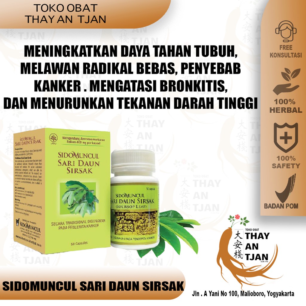 Jual SIDOMUNCUL SARI DAUN SIRSAK | OBAT KANKER | MELAWAN RADIKAL BEBAS |  MEMELIHARA DAYA TAHAN TUBUH Indonesia|Shopee Indonesia