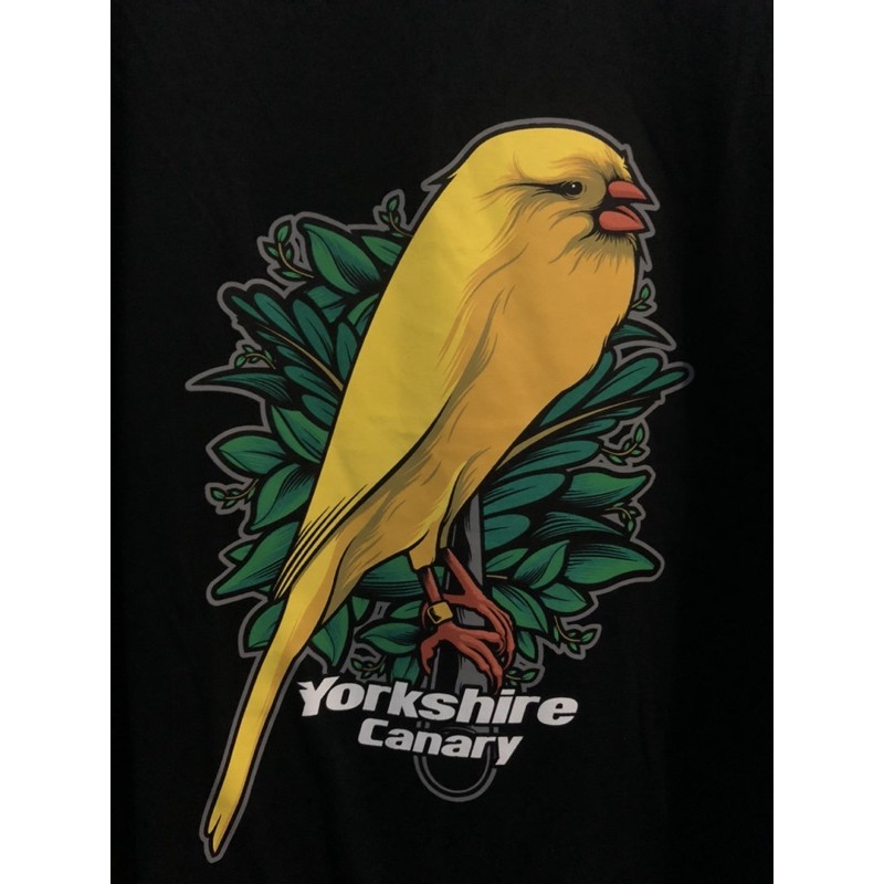 Jual Kaos Kenari (Yorkshire Canary) Indonesia|Shopee Indonesia 800_X_800_jpg