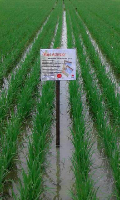 Jual Pupuk plant activator Indonesia|Shopee Indonesia