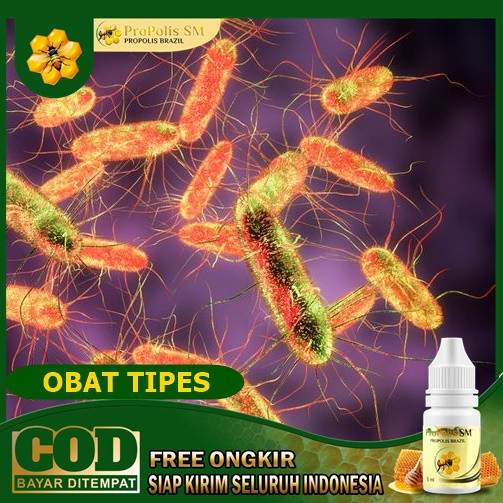 Jual Obat Tipes, Darah Rendah Herbal - Propolis SM Indonesia|Shopee  Indonesia