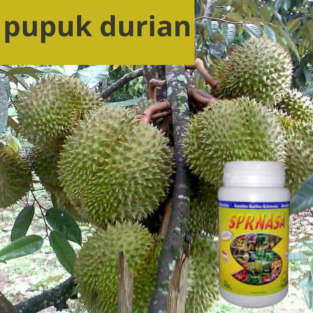 Jual pupuk durian,agar berbuah lebat,cepat besar dan berbuah,cepat  berbuah,anti rontok,montong,durian Indonesia|Shopee Indonesia