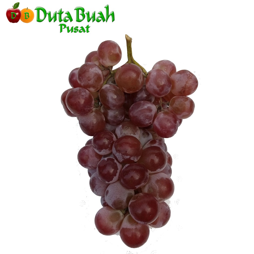 DUTA BUAH Anggur red globe RRC | Shopee Indonesia