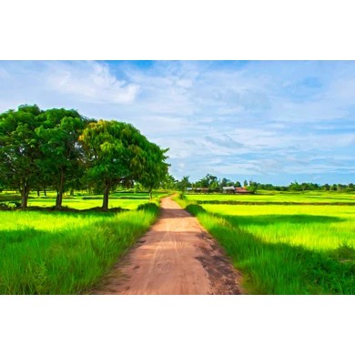 Jual Wallpaper Dinding 3D Custom Murah Berkualitas Gambar Pemandangan Sawah Indonesia|Shopee Indonesia 390_X_390_jpg