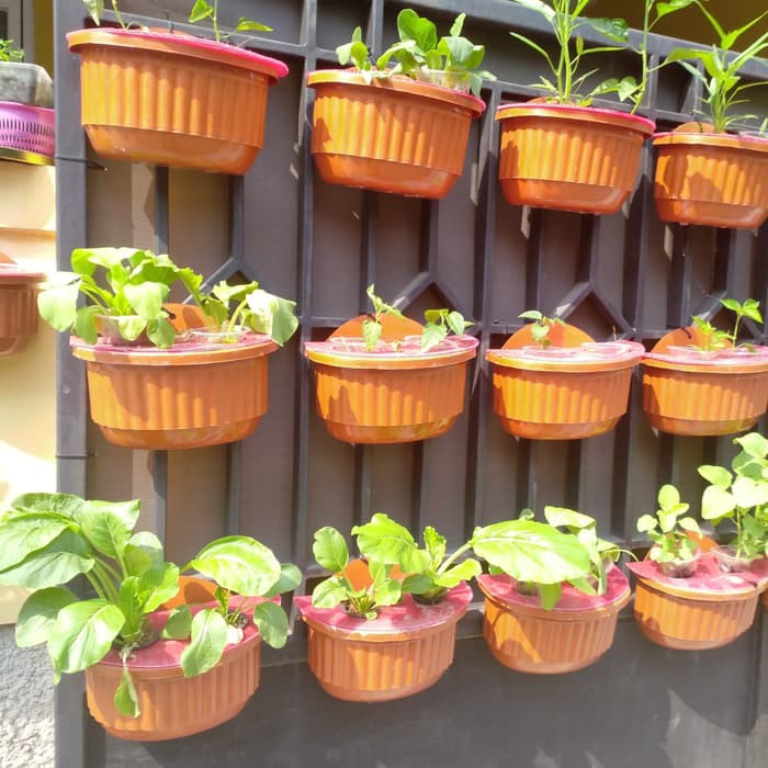 Promo Pot Bunga dan tanaman plastik gantung tempel tembok - Cokelat Diskon  | Shopee Indonesia
