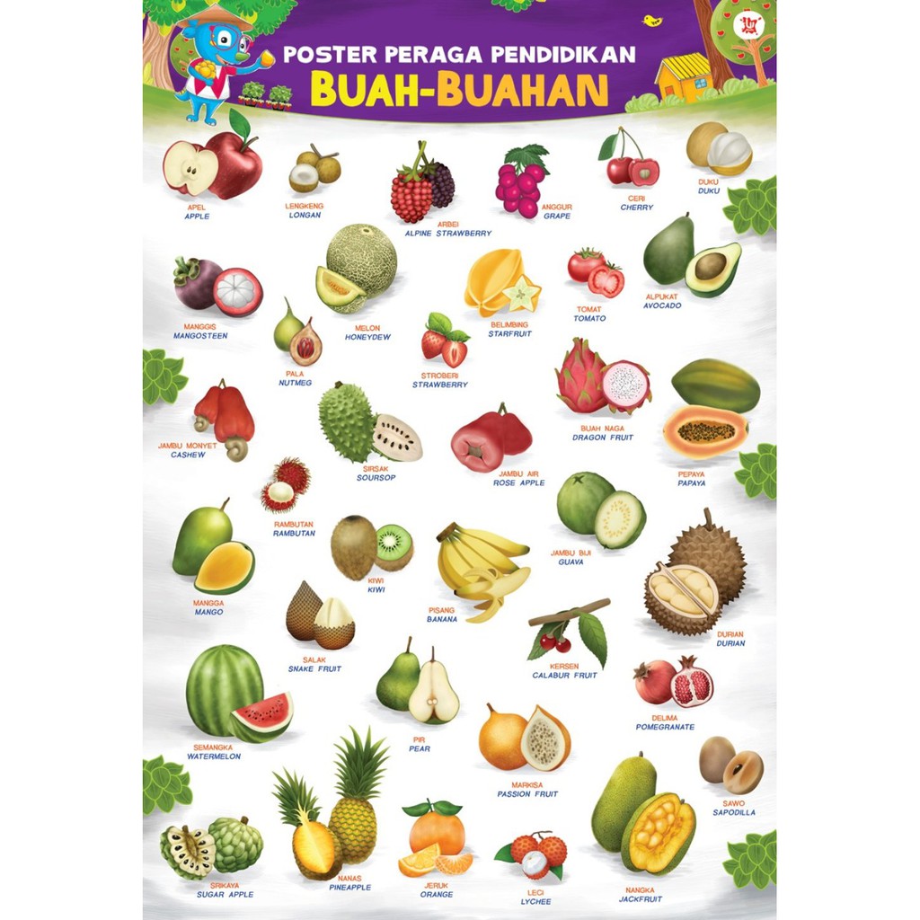 100+ Gambar Buah-buahan Berbahasa Inggris Paling Keren - Gambar Pixabay