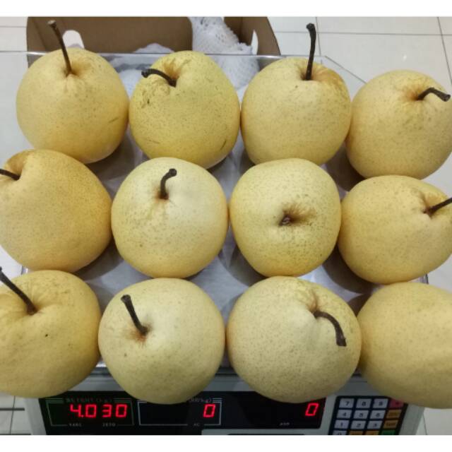 Buah Pear Sweet Pear Madu manis banyak air TERMURAH Harga DIJAMIN MURAH  DIBAWAH PASARAN | Shopee Indonesia