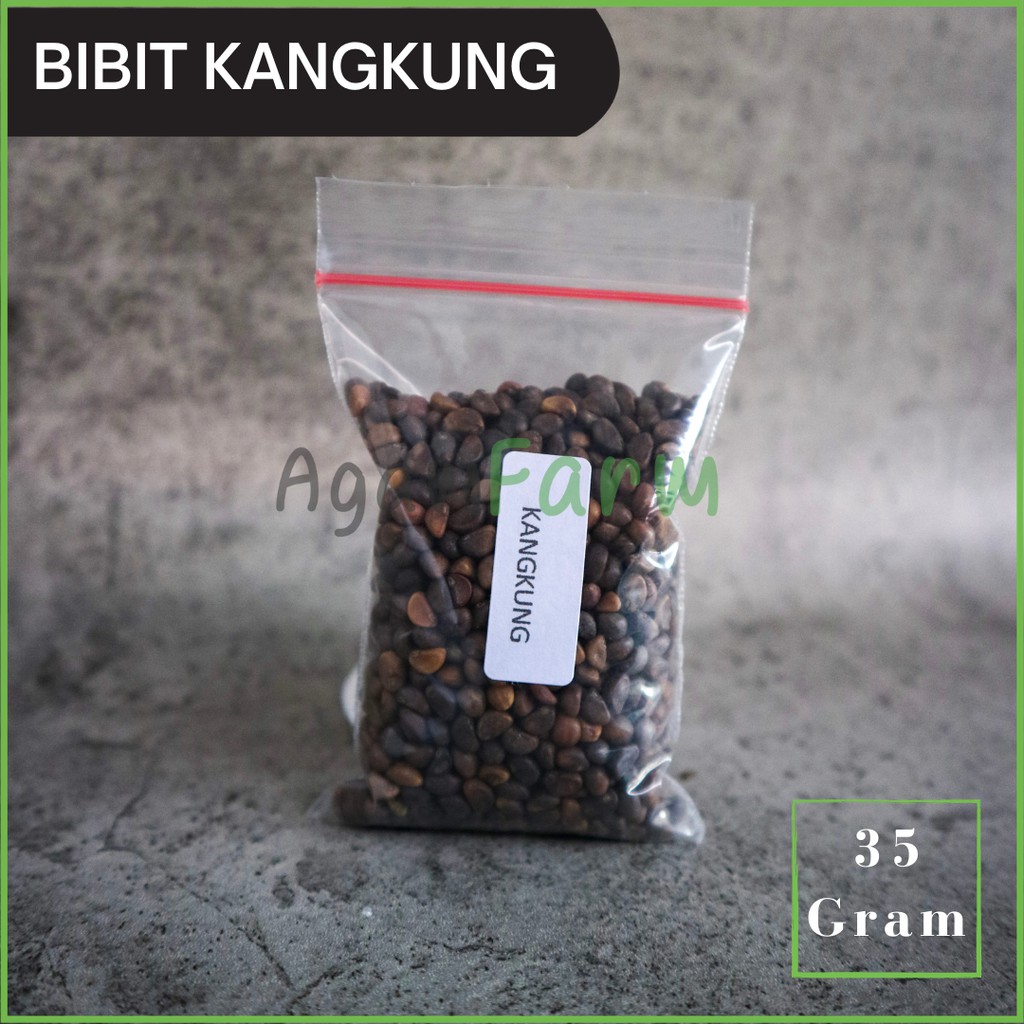 Benih Bibit Kangkung hidroponik - traditional | Shopee Indonesia