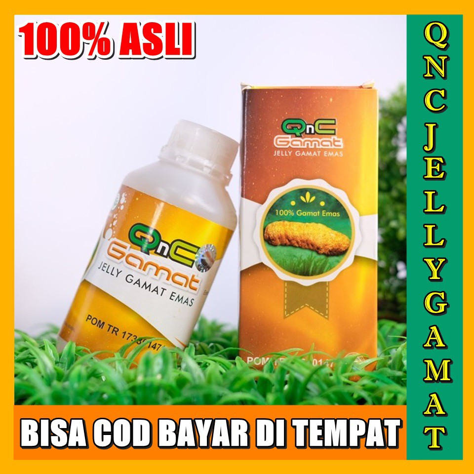 Obat Liver |Pengobatan Hepatitis Alami |Obat Alami Hepatitis - Obat  Penyakit Kuning |QnC Jelly Gamat | Shopee Indonesia