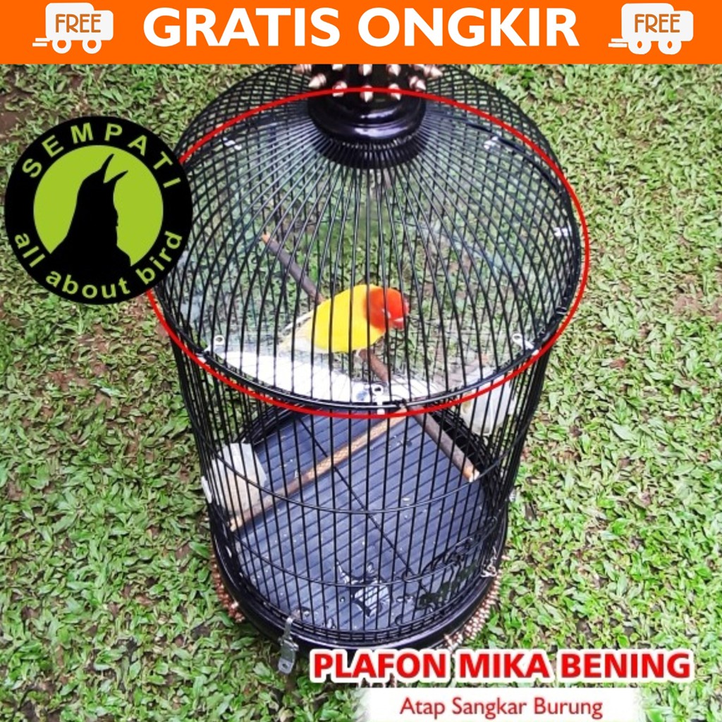 Jual Bisa Cod - Jebakan Atap Plafon Sangkar Burung Lovebird Akrilik Mika Jala - Bila1105 Indonesia|Shopee Indonesia 1024_x_1024_jpg
