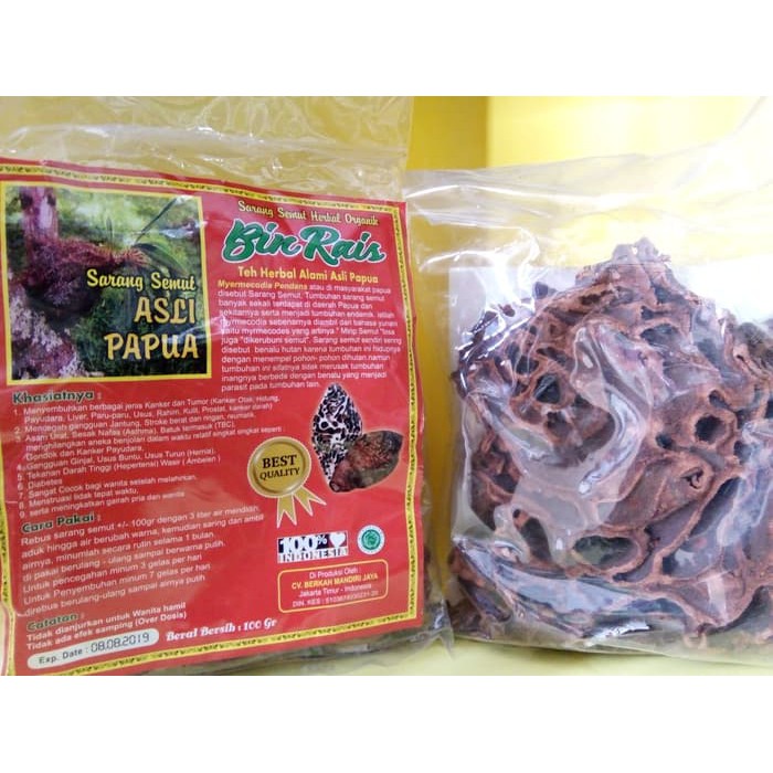 Jual obat asli, obat dokter, Sarang Semut Rebus (Asli Papua) herbal, apotik  obat, obat, Indonesia|Shopee Indonesia