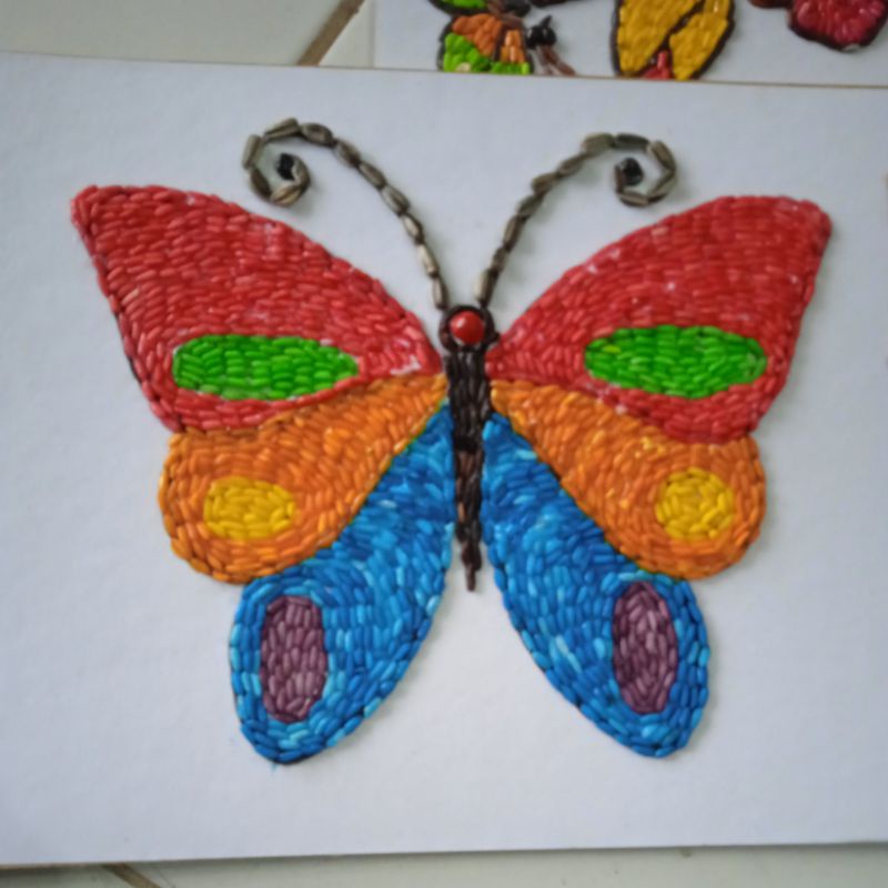 Jual Kolase Kupu - Kupu Beras Warna 3 Sayap Indonesia|Shopee Indonesia 800_X_800_jpg