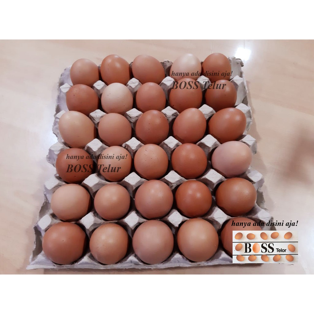Boss Telur Ayam Negri isi 30 butir ( +/- 1.9 kg) | Shopee Indonesia