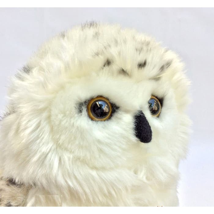 Jual Exported Boneka Owl Burung Hantu Putih Ty Indonesia|Shopee Indonesia 700_X_700_jpg