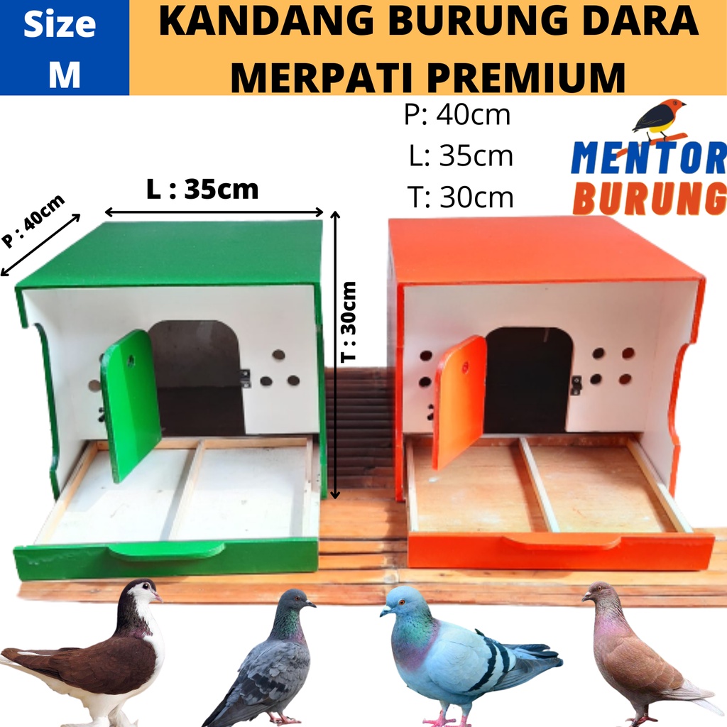 Jual Kandang Sangkar Burung Dara Merpati Premium Homemade Murah Ukuran 40X35X30 Kayu Multiplak Cat Halus Indonesia|Shopee Indonesia 1024_X_1024_jpg