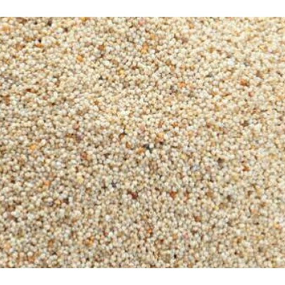 Kaskas Biji 75 Gram | Biji Poppy | Poopy Seed | Rempah Alami | Shopee  Indonesia