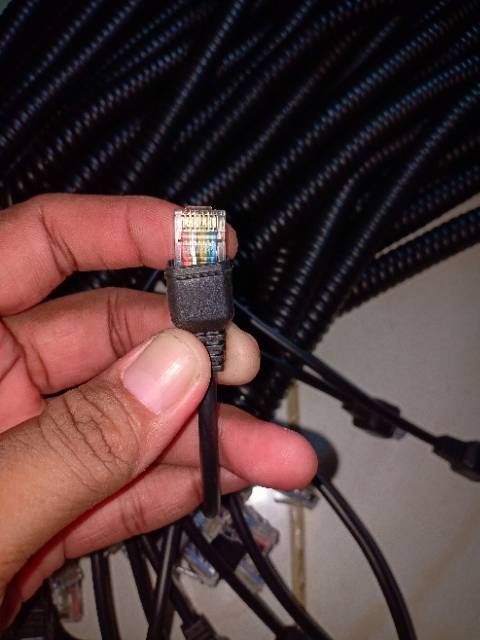 Jual Kabel spiral kenwood TM 271 dan 281 Original Indonesia|Shopee Indonesia