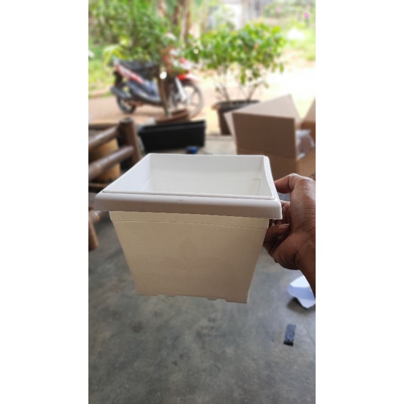 pot plastik kotak putih ukuran 20cm | Shopee Indonesia