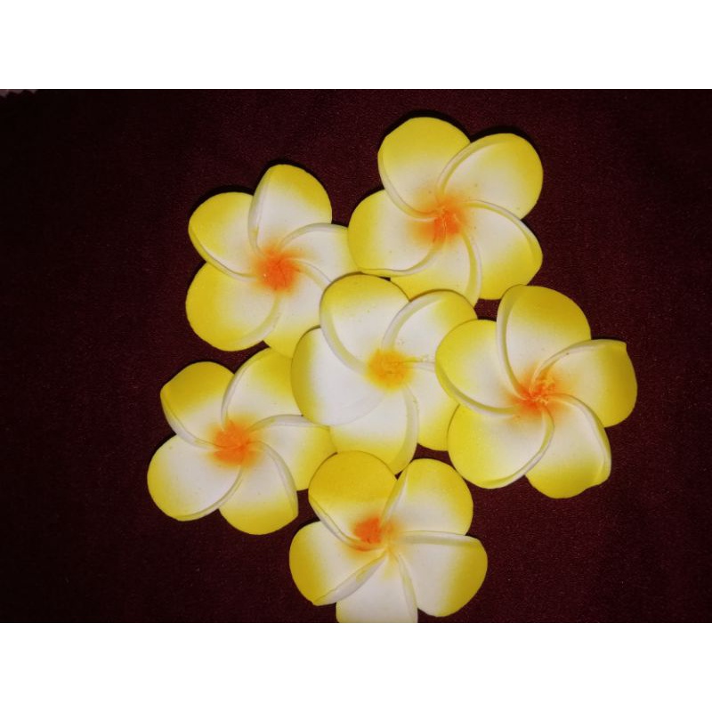 bunga kamboja 5cm spon /spons buat mahar kerajinan | Shopee Indonesia