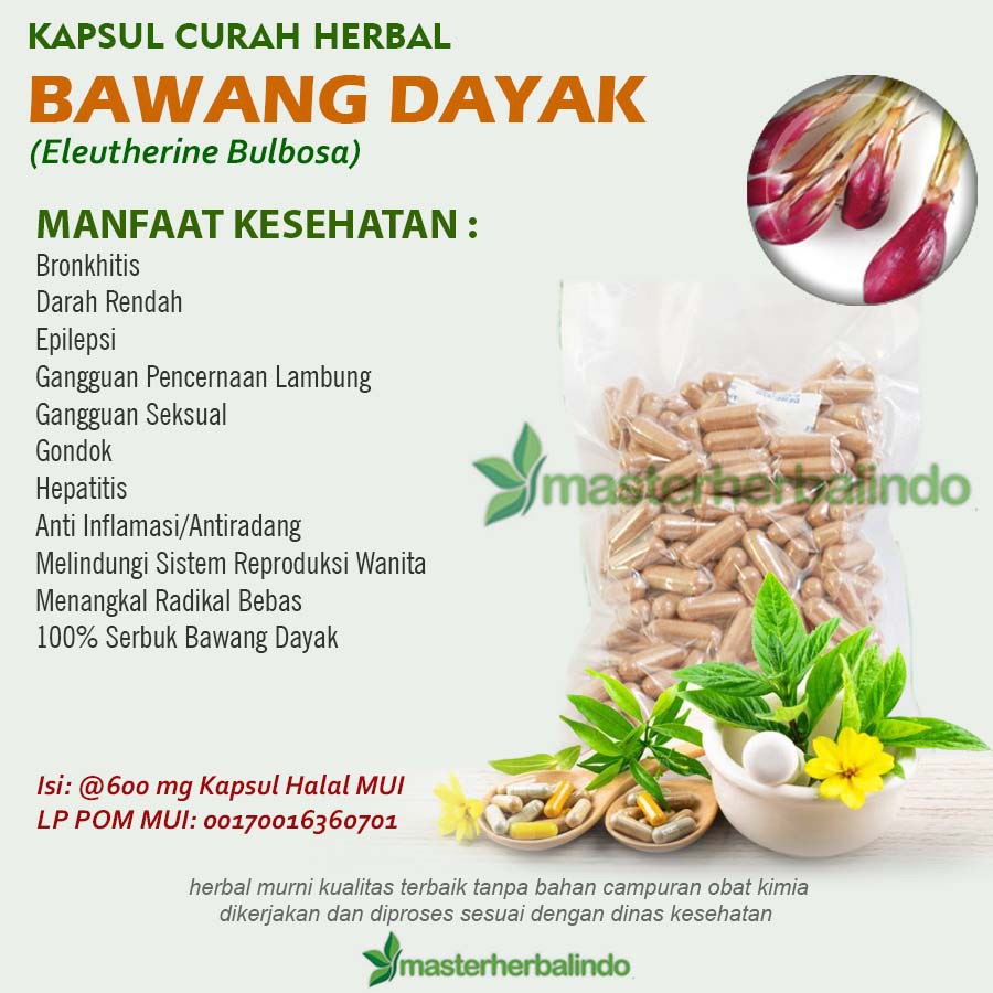 Jual BAWANG DAYAK Kapsul Curah Herbal 200x600mg Bisul Diabetes Wasir  Kolesterol Indonesia|Shopee Indonesia
