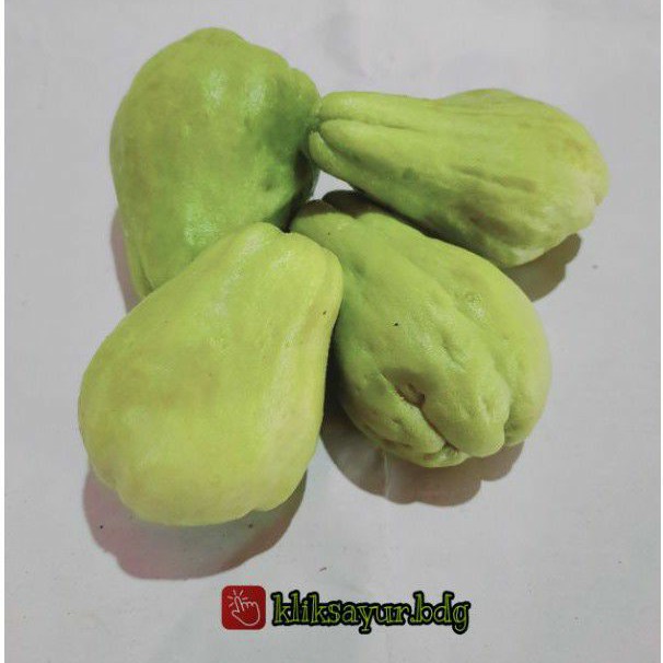 labu siam acar | labu kecil | labu muda fresh 500gr | Shopee Indonesia