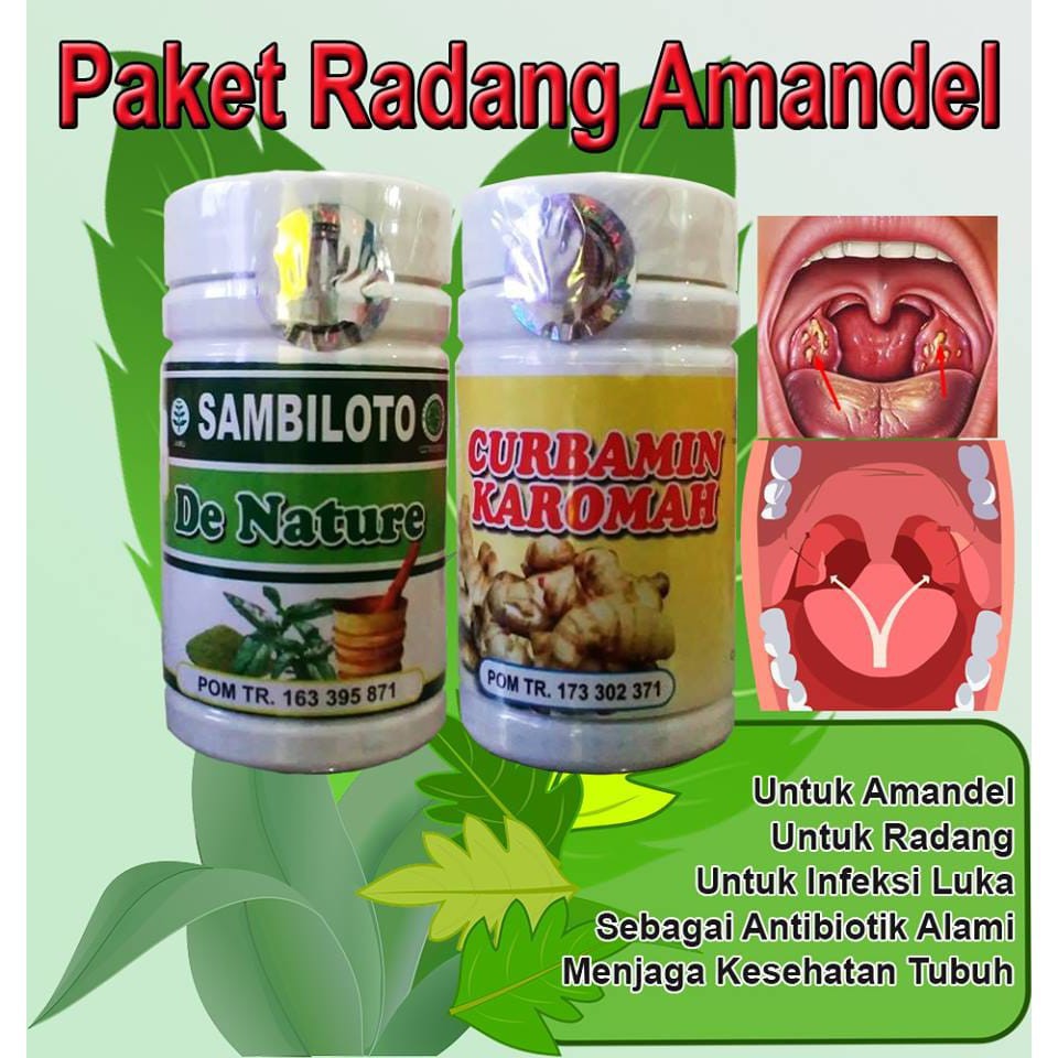 Jual OBAT AMANDEL (TONSILITIS) SUARA SERAK~SAKIT SAAT MENELAN~LEHER KAKU |  BERCAK PUTIH BENGKAK | HERBAL Indonesia|Shopee Indonesia