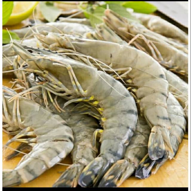 Udang Segar 500gr | Shopee Indonesia
