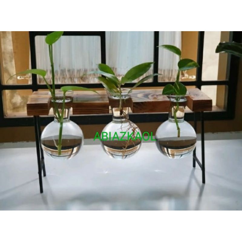 vas/pot kaca mini hidroponik triple vase model meja | Shopee Indonesia