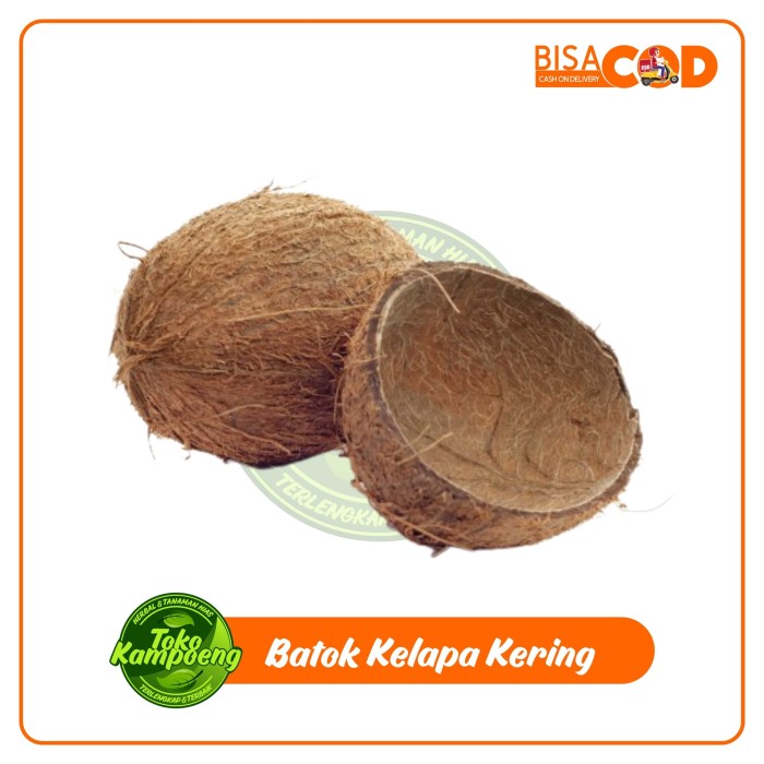 Batok Kelapa Kering 500gram | Shopee Indonesia
