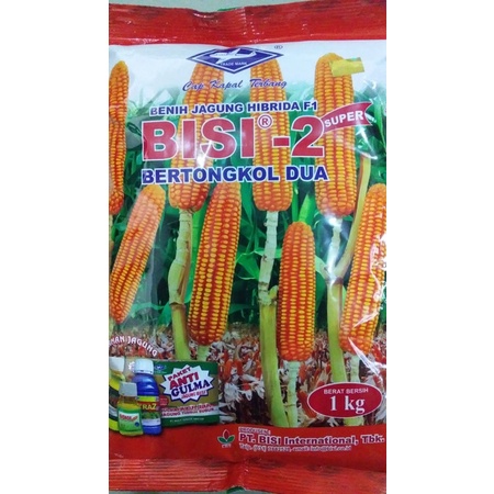 Jual BENIH JAGUNG BISI 2 BISI2 TONGKOL 2 kemasan 1kg Tahan Panas EXP:MEI  2022 Indonesia|Shopee Indonesia
