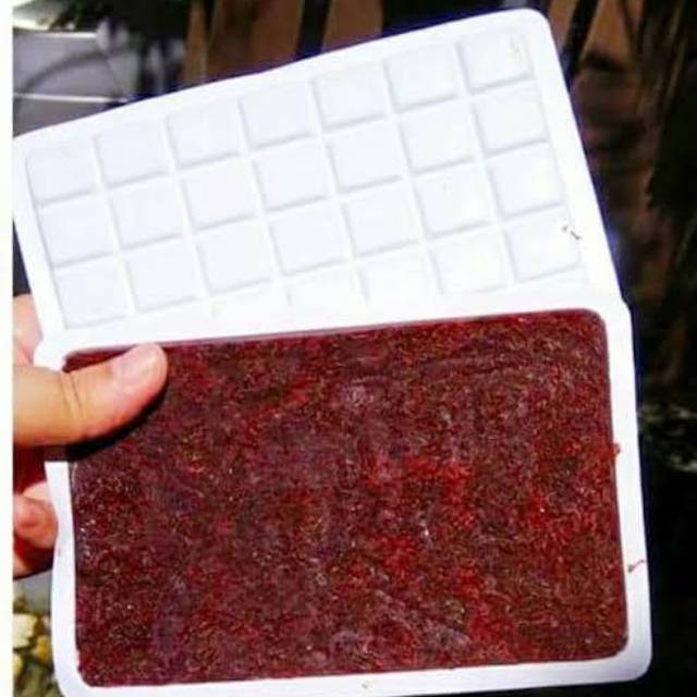 Jual Cacing darah beku 100gram frozen bloodworm Indonesia|Shopee Indonesia
