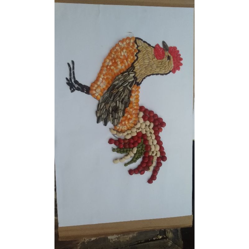 Jual Kolase Ayam Jago Dari Biji-Bijian Indonesia|Shopee Indonesia 800_x_800_jpg