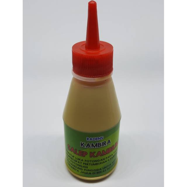 Jual SALEP KAMBIUM PLUS FUNGISIDA HEALING PASTE PENUTUP LUKA BEKAS POTONG  TANAMAN DAN BONSAI, ALAT BONSAI Indonesia|Shopee Indonesia