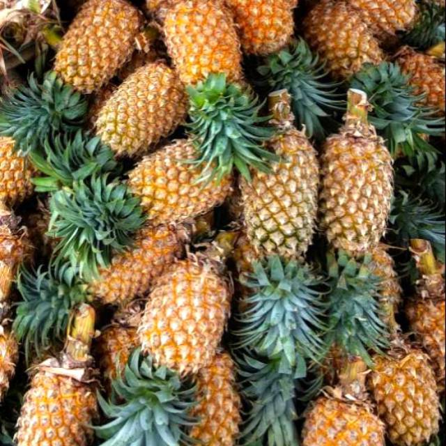 Nanas Palembang Nanas Kupas Nanas Parut Nanas Selai bisa untuk rujak, selai  nanas kue nastar | Shopee Indonesia