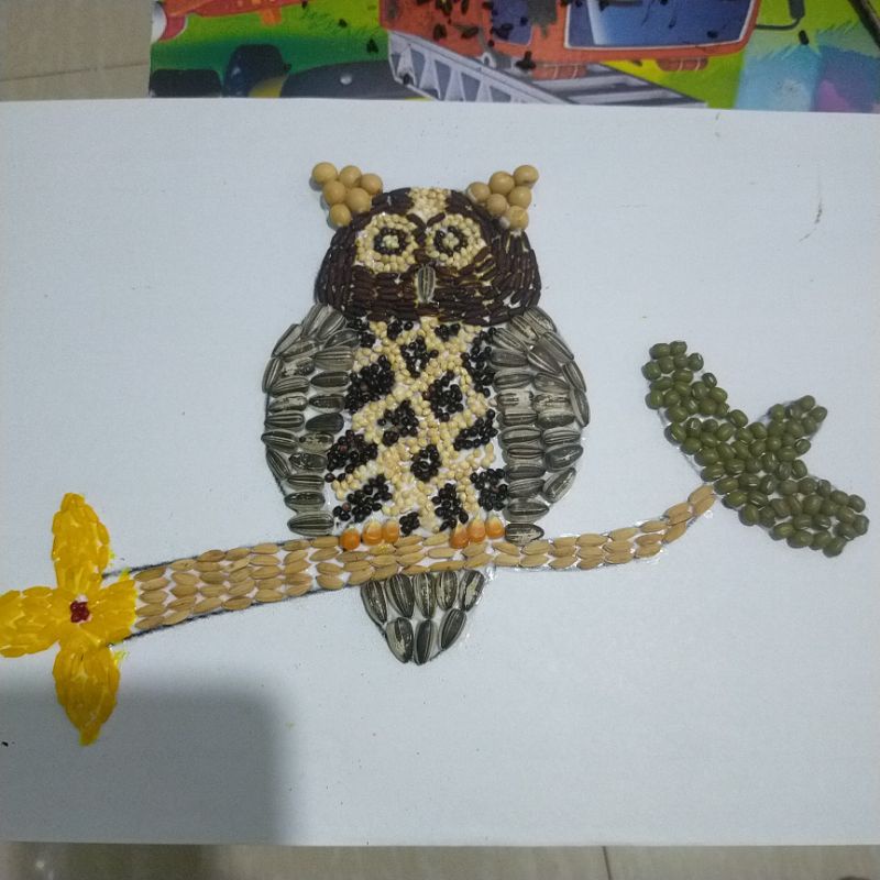 Harga Kolase Burung Terbaru Januari 2022 | Biggo Indonesia 800_X_800_jpg