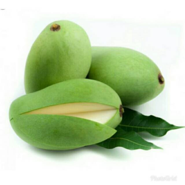PASAR ONLINE MURAH - BUAH MANGGA MUDA / MANGGA RUJAK / MANGGA MENGKEL |  Shopee Indonesia