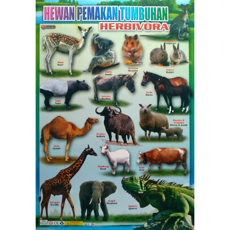 POSTER EDUKASI HEWAN PEMAKAN TUMBUHAN[HERBIVORA] | Shopee Indonesia