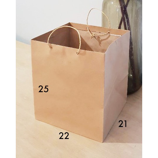 paper bag polos paperbag coklat ukuran 22 x 25 dos kardus nasi tas kertas  samson goodie bag souvenir | Shopee Indonesia