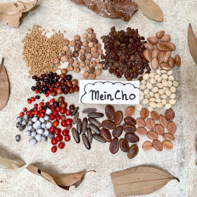 72+ Gambar Kolase Dari Biji Bijian Hd - Kumpulan Gambar Kolase 640_X_640_jpg