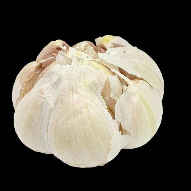 Bawang putih tua kering kwalitas super 1000gr | Shopee Indonesia