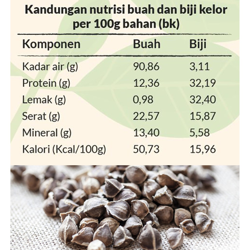 Jual ASLI Kapsul Biji Kelor KELORINA isi 100 - DETOX Racun dan Pencernaan  Indonesia|Shopee Indonesia