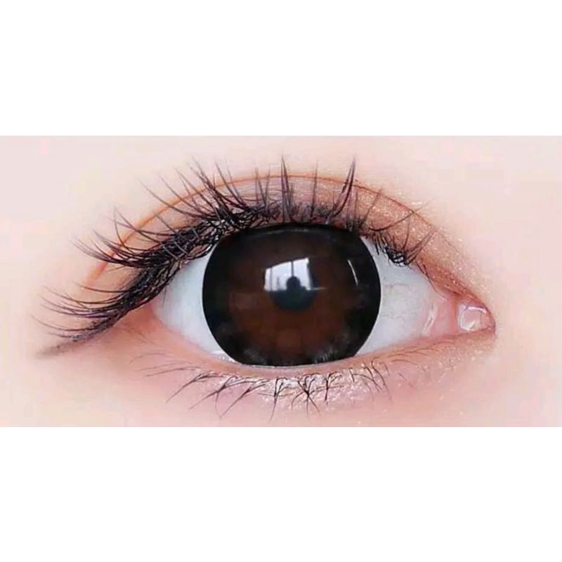 Harga Lensa Mata Warna Hitam Terbaru Oktober 2021 | BigGo Indonesia